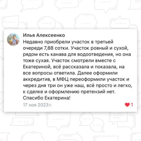 Скриншот отзыва покупателя №10